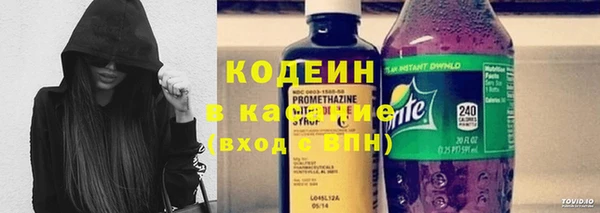 молекула духа Алзамай