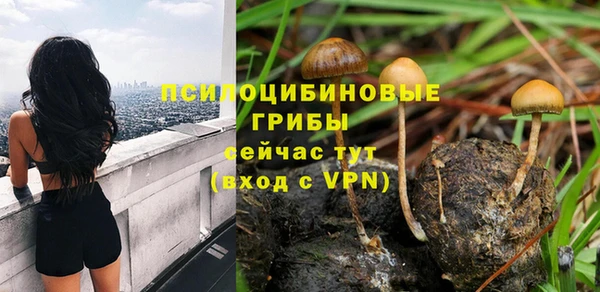 ПСИЛОЦИБИНОВЫЕ ГРИБЫ Алексин
