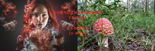 молекула духа Алзамай