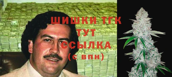 прущие грибы Алексеевка