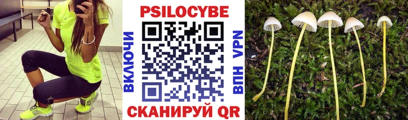 Псилоцибиновые грибы Psilocybe  даркнет сайт  Мыски 