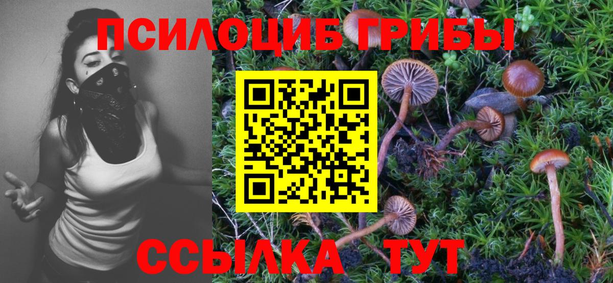 Галлюциногенные грибы Psilocybe  Псилоцибиновые грибы ЛСД  Вход с VPN  Мыски 