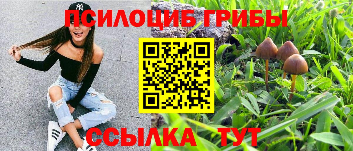 Галлюциногенные грибы Magic Shrooms Мыски